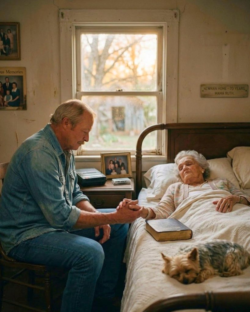 Hinh fb 2026 03 31T070054.200